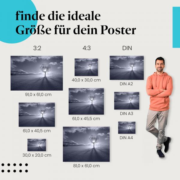 Einsamer Baum Poster: Stimmungsvolle Natur - finde die passende Größe!