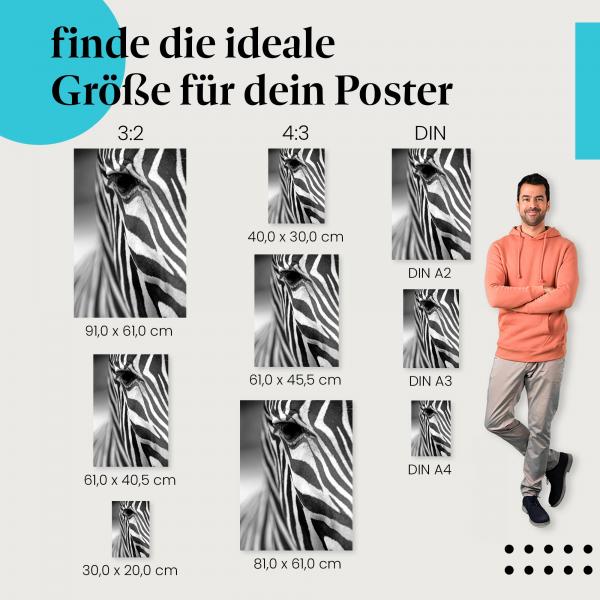 Zebraportrait Poster: Schwarzweiß - jetzt Postergröße wählen!