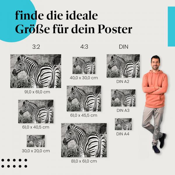 Zeitlose Schönheit: Tierposter "Zebra in Schwarzweiß" - Ein Klassiker