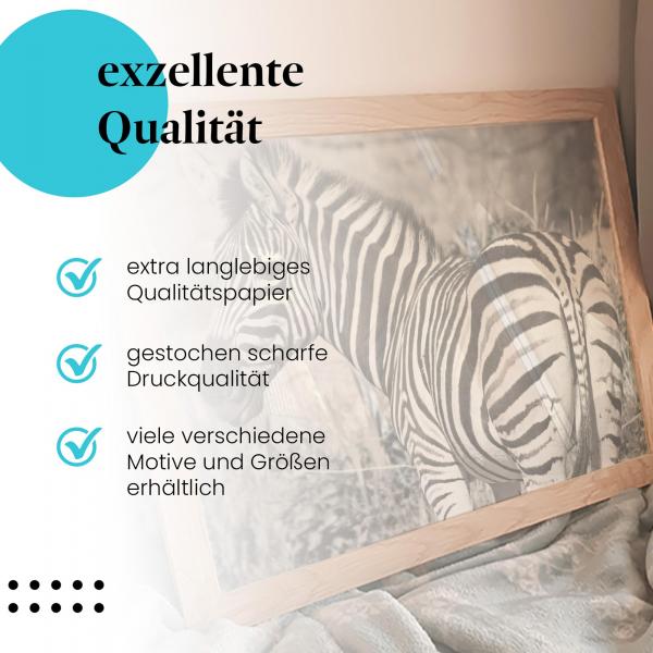 Gerahmtes Wandbild "Zebra in Schwarzweiß: Eleganz der Natur" in verschiedenen Größen.