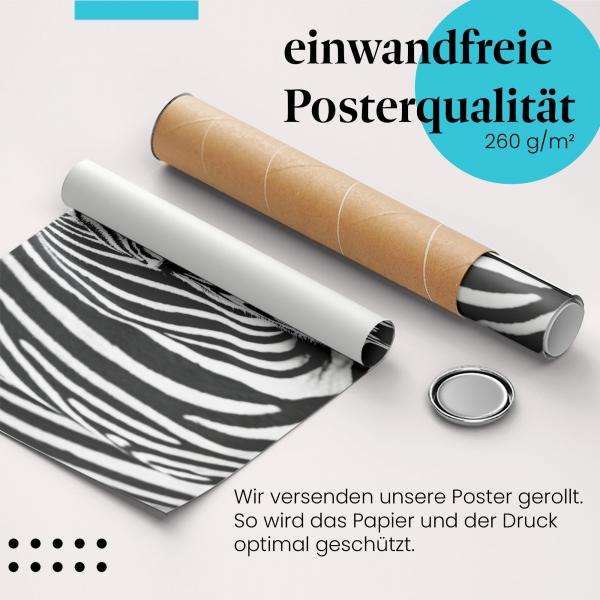 Gerolltes Poster "Zebra". Afrikanisches Tier, sicher verpackt.