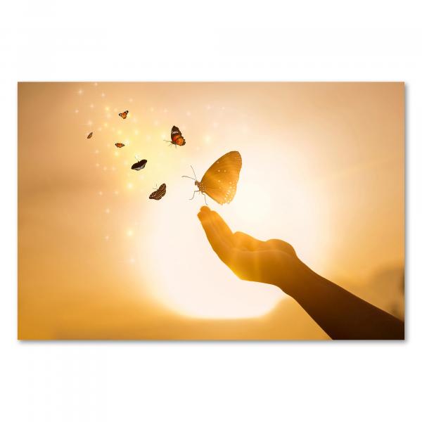 Hand, Schmetterling, andere fliegen im Sonnenuntergang - Hoffnung & Neuanfang.