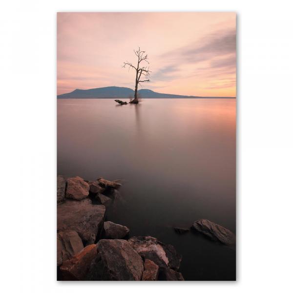 Kahler Baum im Wasser, ruhiger See, pastellfarbener Abendhimmel.