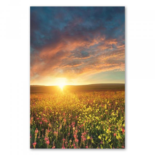 Sonnenaufgang taucht Himmel in warme Farben, Feld mit bunten Blumen leuchtet.