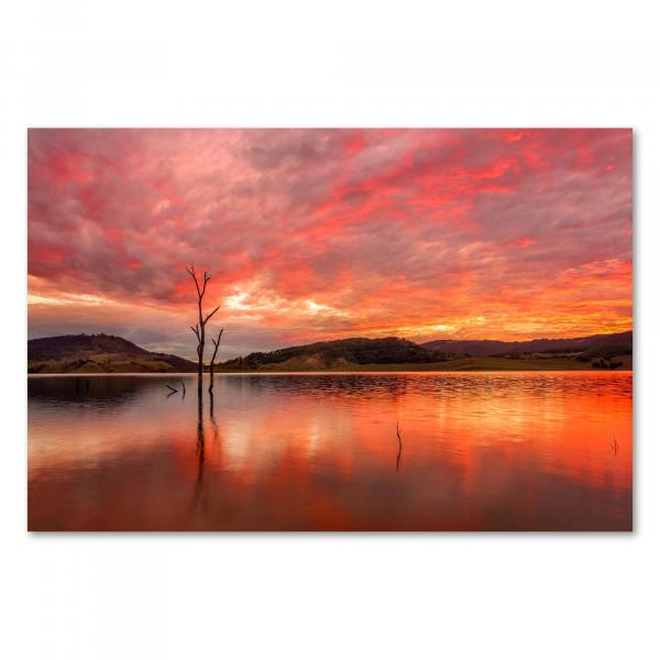 Feuerroter Sonnenaufgang über See, tote Bäume spiegeln sich im Wasser.