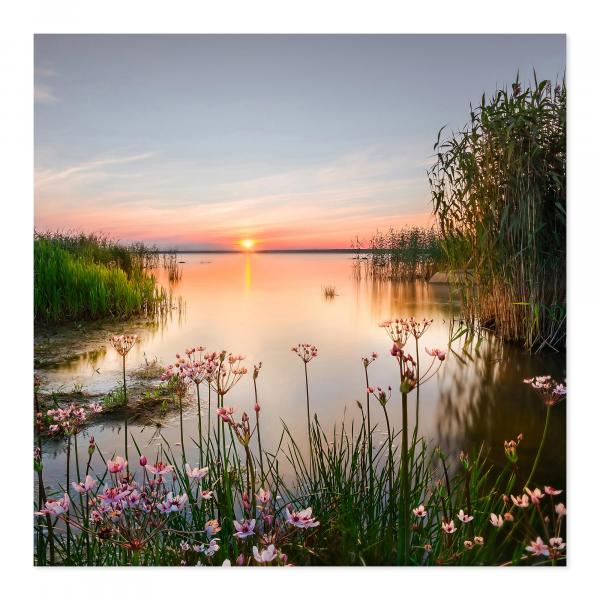 Rosa Blüten im Vordergrund, Sonnenuntergang am See, sanfte Farben, romantisch.