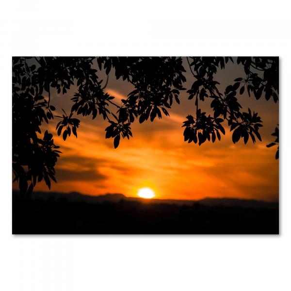 Silhouette von Blättern rahmt untergehende Sonne, leuchtende Orangetöne.