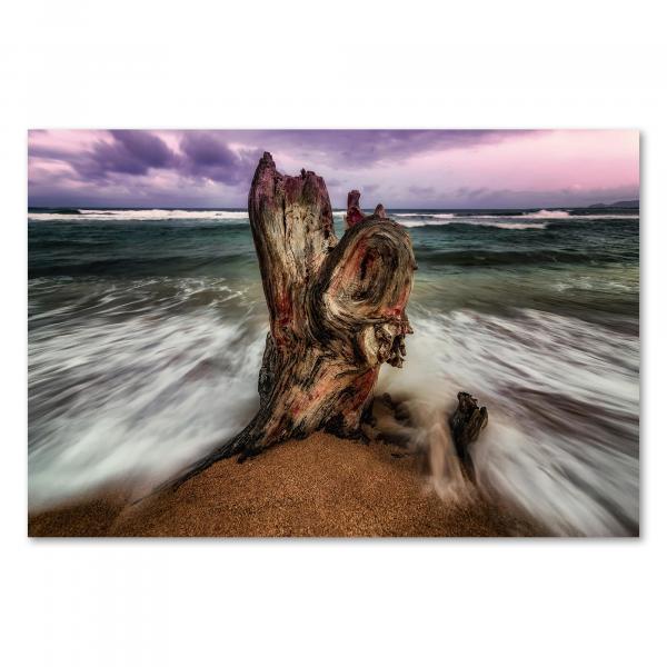 Knorriger Baumstumpf am Strand, Wellen, violette Wolken, mystische Stimmung.