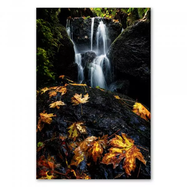 Wasserfall im Herbstwald, bunte Blätter, langes Belichtungszeit, weiches Wasser.