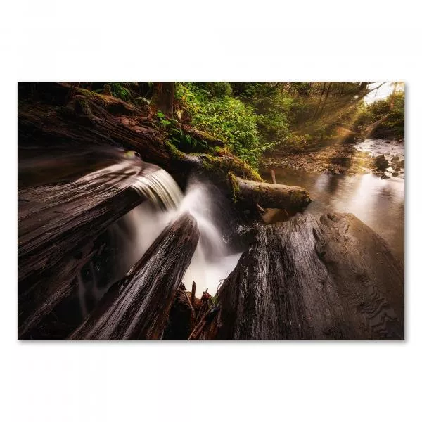 Kleiner Wasserfall, bemooste Baumstämme, Wald, Sonnenstrahlen, magisches Licht.