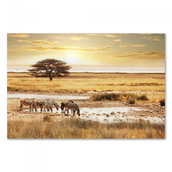 Gruppe Zebras löscht Durst am Wasserloch in der Savanne, einzelner Baum und untergehende Sonne im Hintergrund.